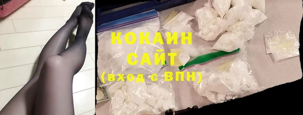 индика Абаза
