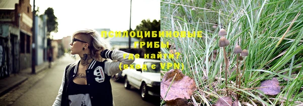 индика Абаза