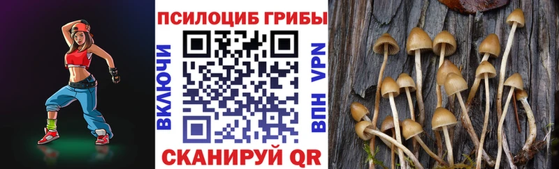 Псилоцибиновые грибы Magic Shrooms  omg ONION  Архангельск  купить  сайты 